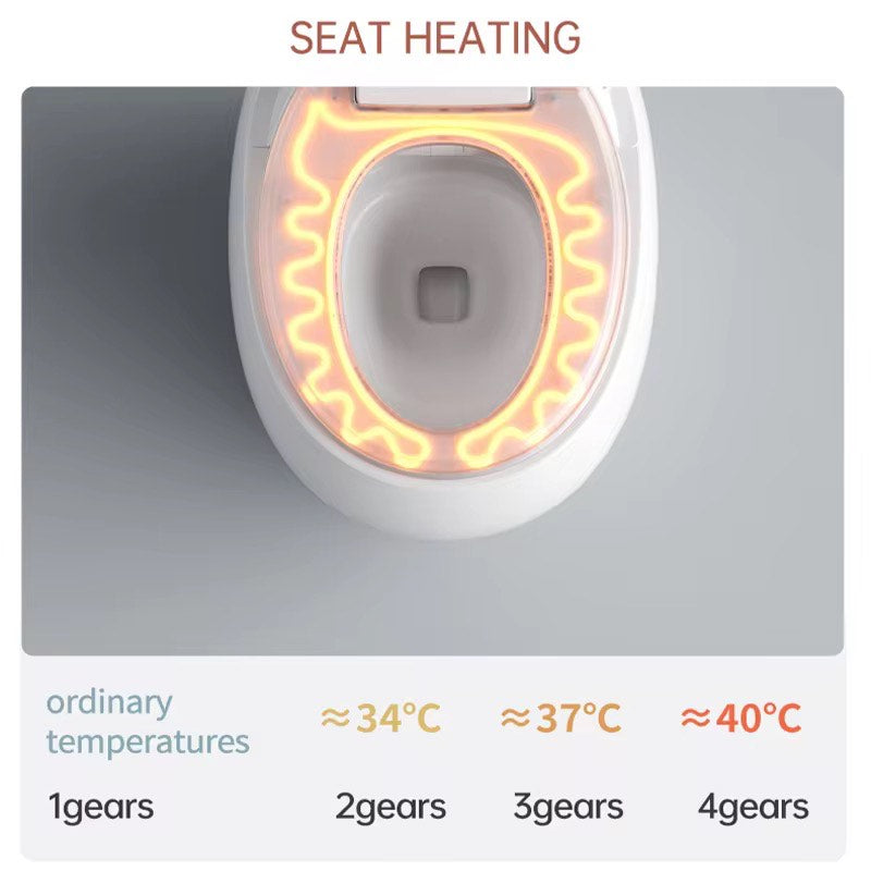 Luxury Intelligent Toilet Seat Commode Gold Futuristic Design Gold Electroplated