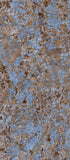 Wall Tiles-Maximvs Galaxy Blue